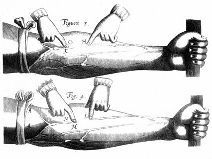 William Harvey