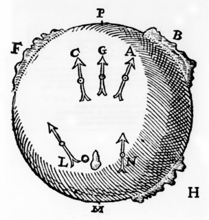 Gilbert's experiment to demonstrate that two pieces of iron wire, A,B, placed near the pole, C, of a magnet, will have the same magnetism induced in them and so repel one another