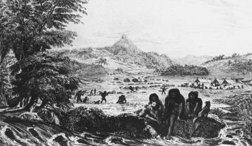 Fuegians at Woollya, with the expedition's camp in the background