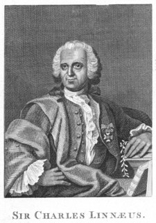 Linnaeus  Carl von Linne