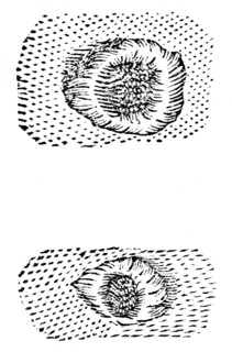 Galileo's 1611 drawing of lunar craters