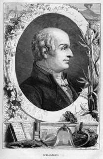 Lazzaro Spallanzani