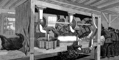 Armour Company's pig slaughterhouse, Chicago