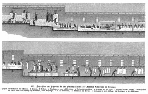 Armour Company's pig slaughterhouse, Chicago