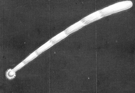 Great comet of 1680