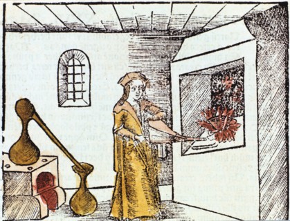 The Chemist