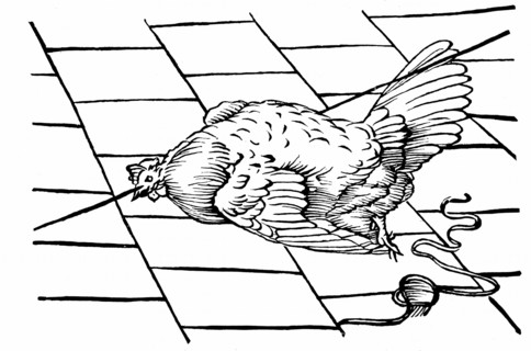 Experimentum Mirabile