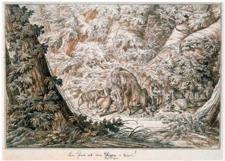 Johann Elias Ridinger 1698-1767 Untitled