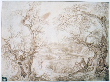 Winter Landscape'