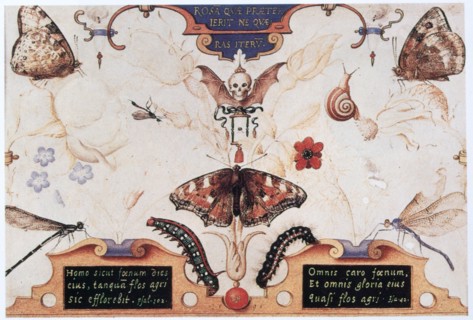 Hoefnagel, Diptych with flowers and insects