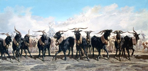 Let us take out the herd'
