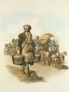 Water carrier with buckets