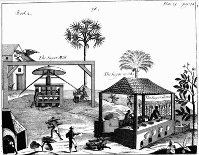 Slave labour on a sugar plantation in the West Indies