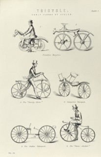 Various forms of early bicycle
