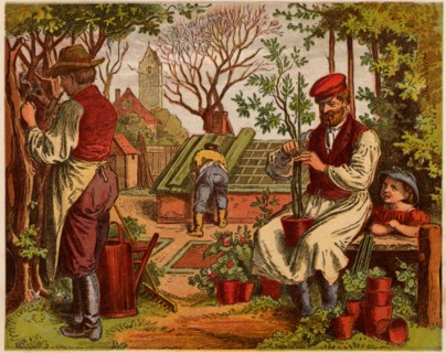 Oscar Pletsch, Gardening