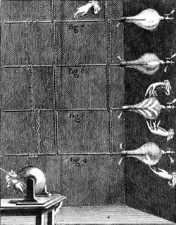 Electrical discharges in evacuated glass vessels caused by static electricity generated by a glass globe electrical machine