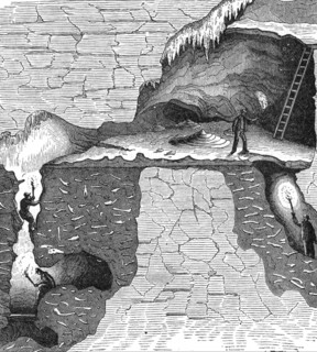 Sectional view of a bone cavern showing debris of animal bones
