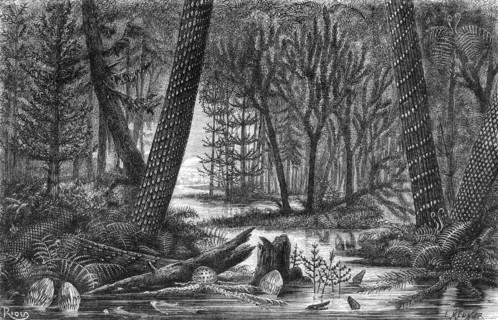 Carboniferous forest