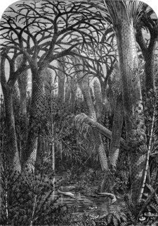 Artist's reconstruction of a forest during the Carboniferous period
