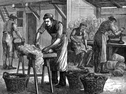 Woolsorters