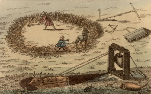 Threshing corn using a horse pulling a sledge