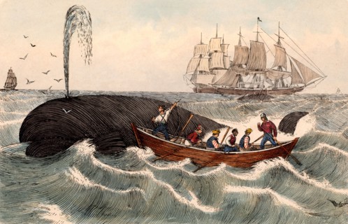 Harpooning a whale