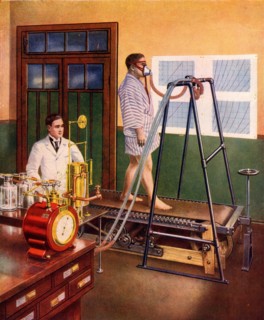 Investigation of respiration during exercise