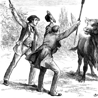 Johnny Eames helping Lord de Guest escape from the angry bull