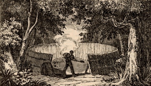 Charcoal burner at work in Kent