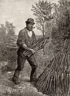Charcoal burners in the Lake District