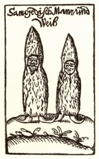 Samoyed man and woman