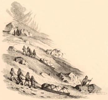 Travelling by sledge in the Arctic