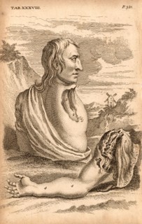 The miller Samuel Wood