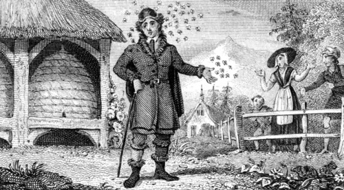 Jan Swammerdam