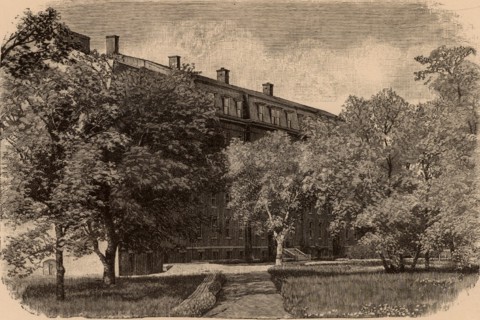 Museum of Comparative Zoology