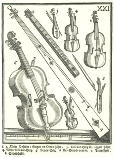 Violins and related instruments