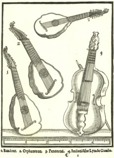 Stringed Instruments