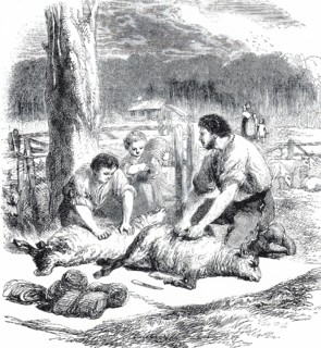 British imigrant family in Australia