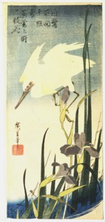 White Heron and Purple Iris', c1830