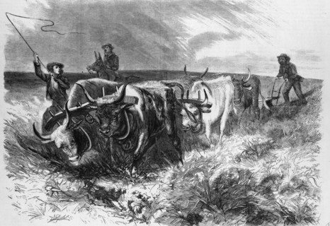 Pioneer farmers ploughing the prairies beyond the Mississippi with a team of oxen