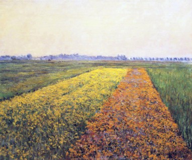 Caillebotte, La plaine de Gennevilliers, champs jaunes