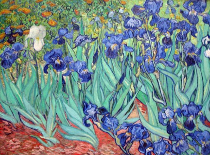 Van Gogh, Les Iris