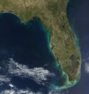 Sediments of Algal Bloom line the coast of Florida in the southern United States of America, giving the peninsula a greenish frame