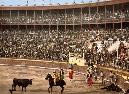 Bull Fight, Barcelona, Spain