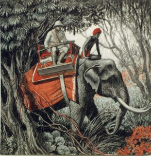 Tiger hunting in Indian jungle