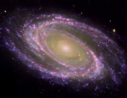 Spiral Galaxy  M81