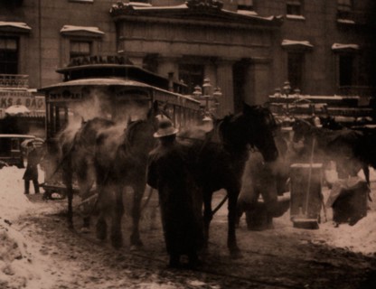 Stieglitz, Terminal