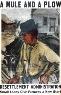 "A mule and a plow"