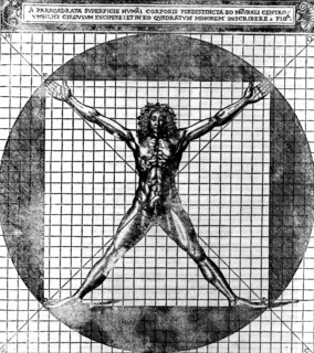 Proportions du corps humain