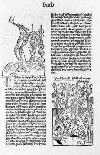 De Crescenzi, Cultivation and care of grapevines